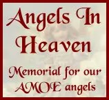 Memorial For AMOE Angels In Heaven