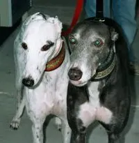 Polka and Barrow