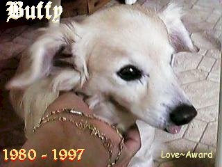 Buffy Love Award