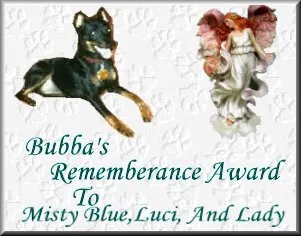 In Memory of Bubba
