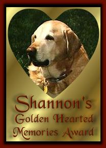 In Memory of Shannon