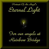 In honor of our angels at Rainbow Bridge