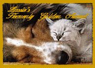 Lassie's 
Heavenly Golden Award