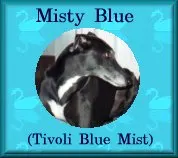 Misty Blue