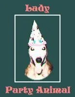Party Animal!