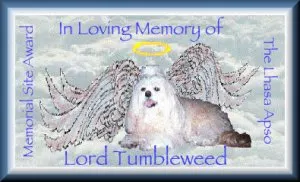 Memorial Site Award