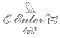 Enter